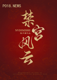 禁宫小说云微